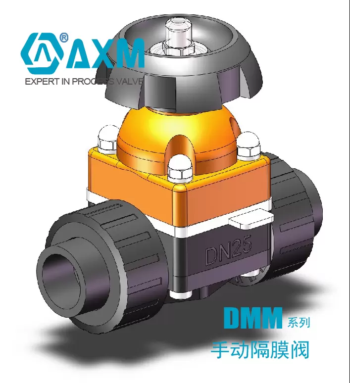 DMM202系列塑料体活接款手动隔膜阀