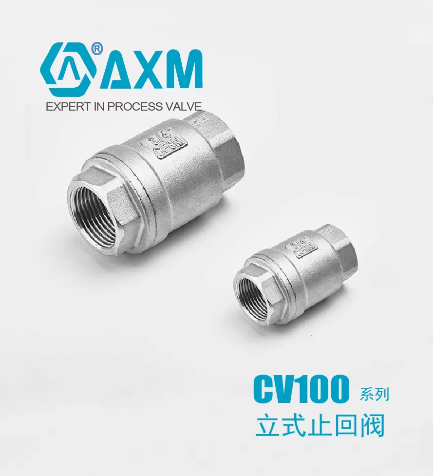 CV100系列立式止回阀
