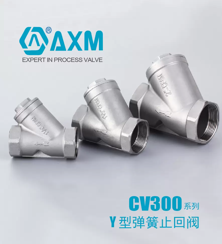 CV300系列Y型弹簧止回阀