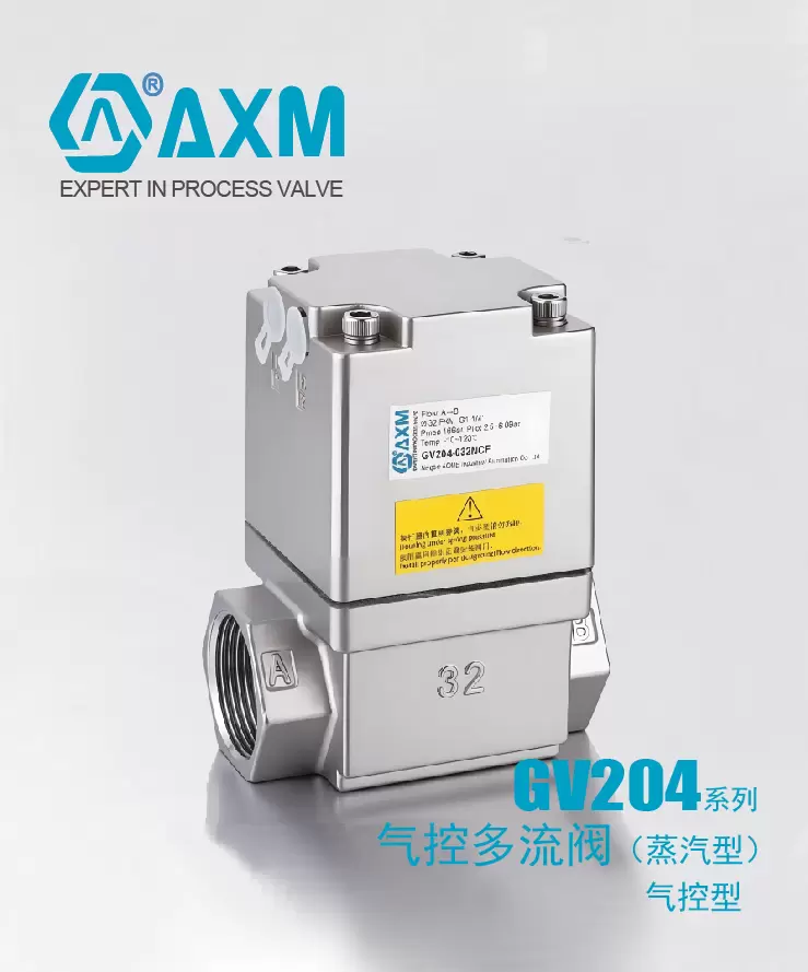 GV204系列（蒸汽）