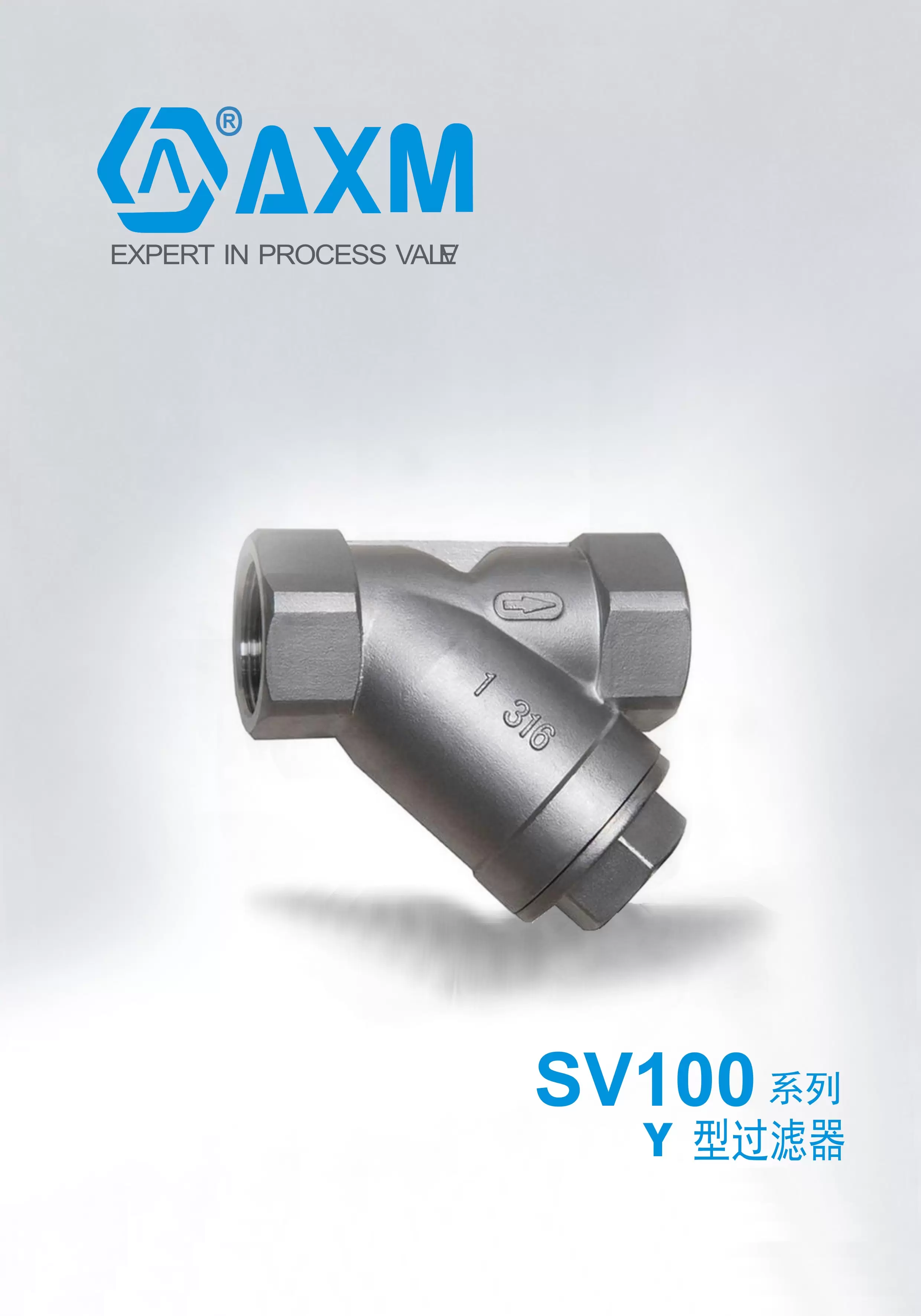 SV100系列 Y型过滤器