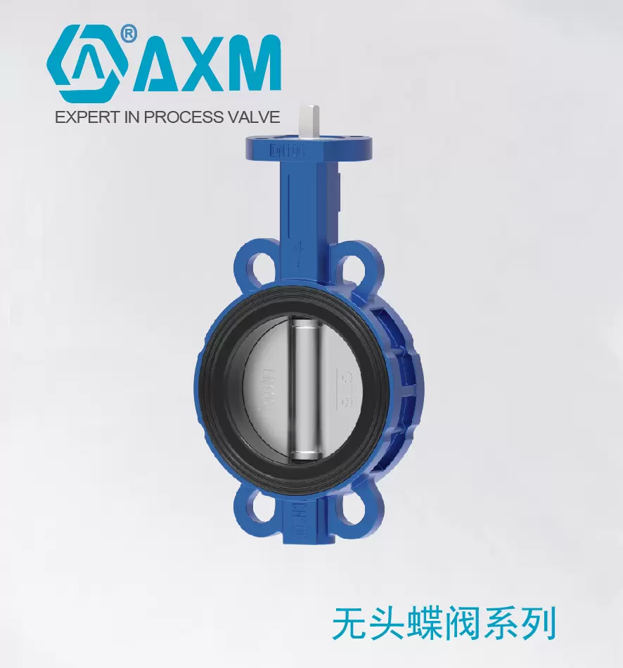 D71-XP系列无头蝶阀