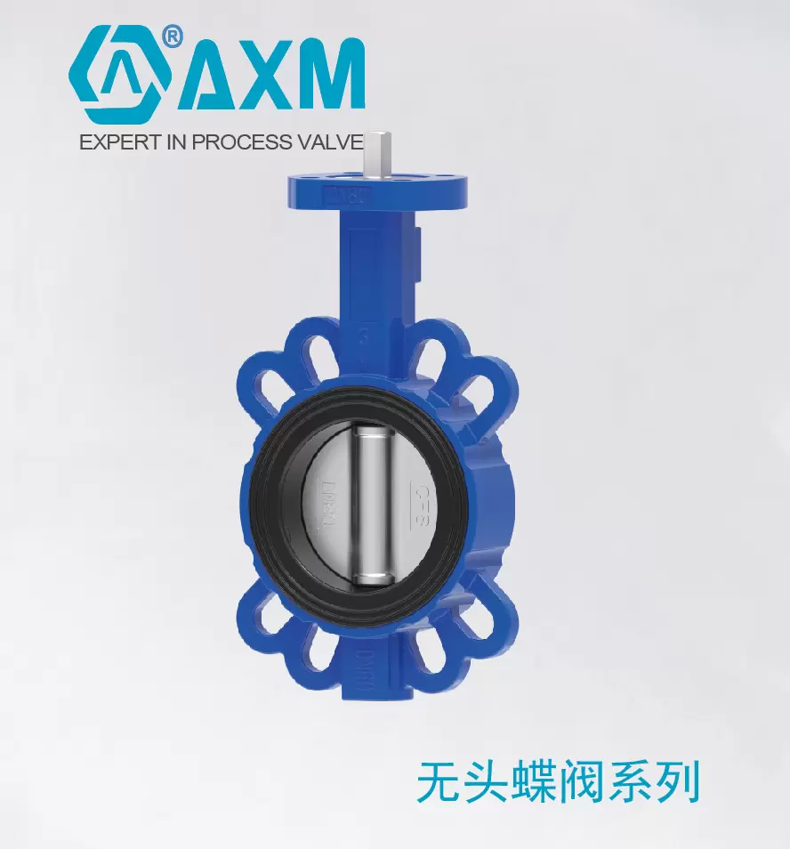 D71-XP系列无头蝶阀