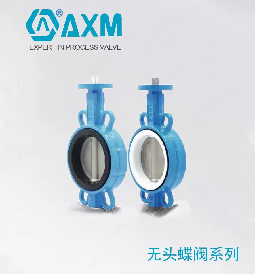 D71-XP系列无头蝶阀