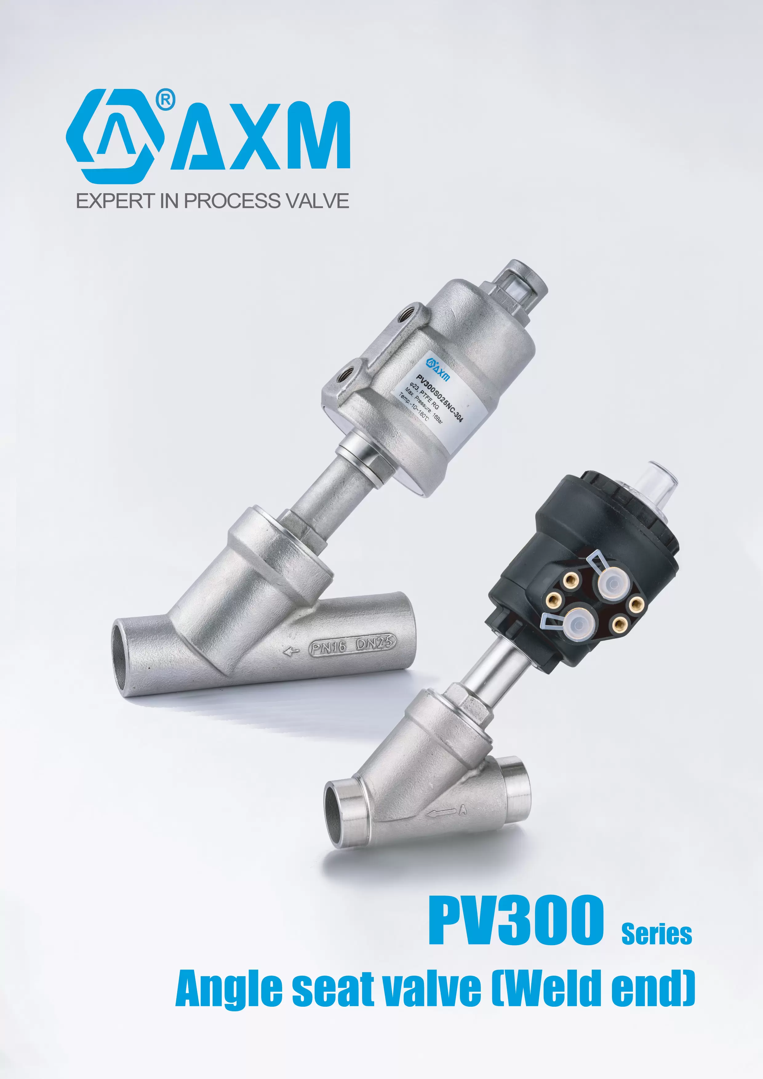 PV300 Series 【Weld ends】