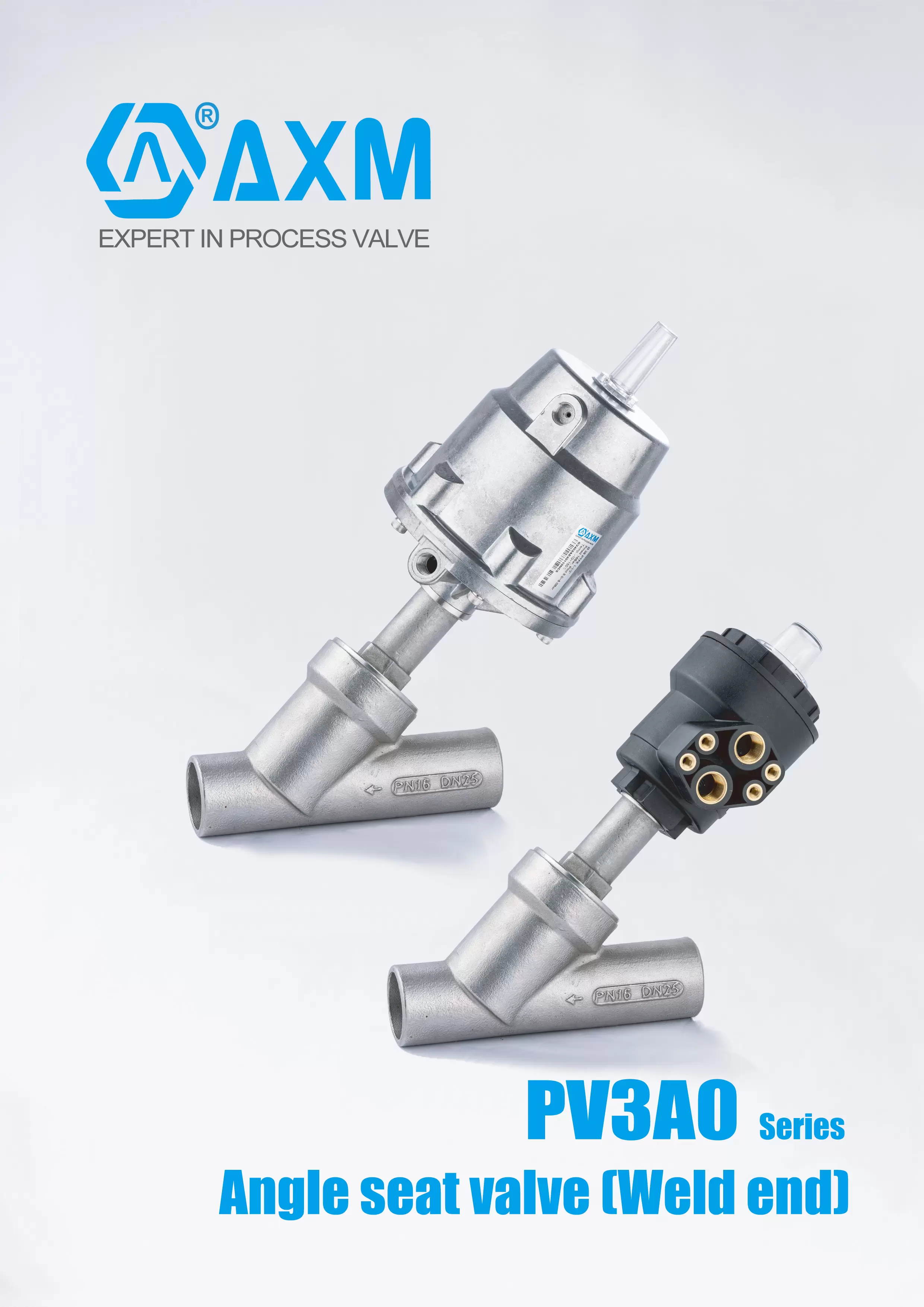 PV3A0 Series 【Butt Weld ends 】