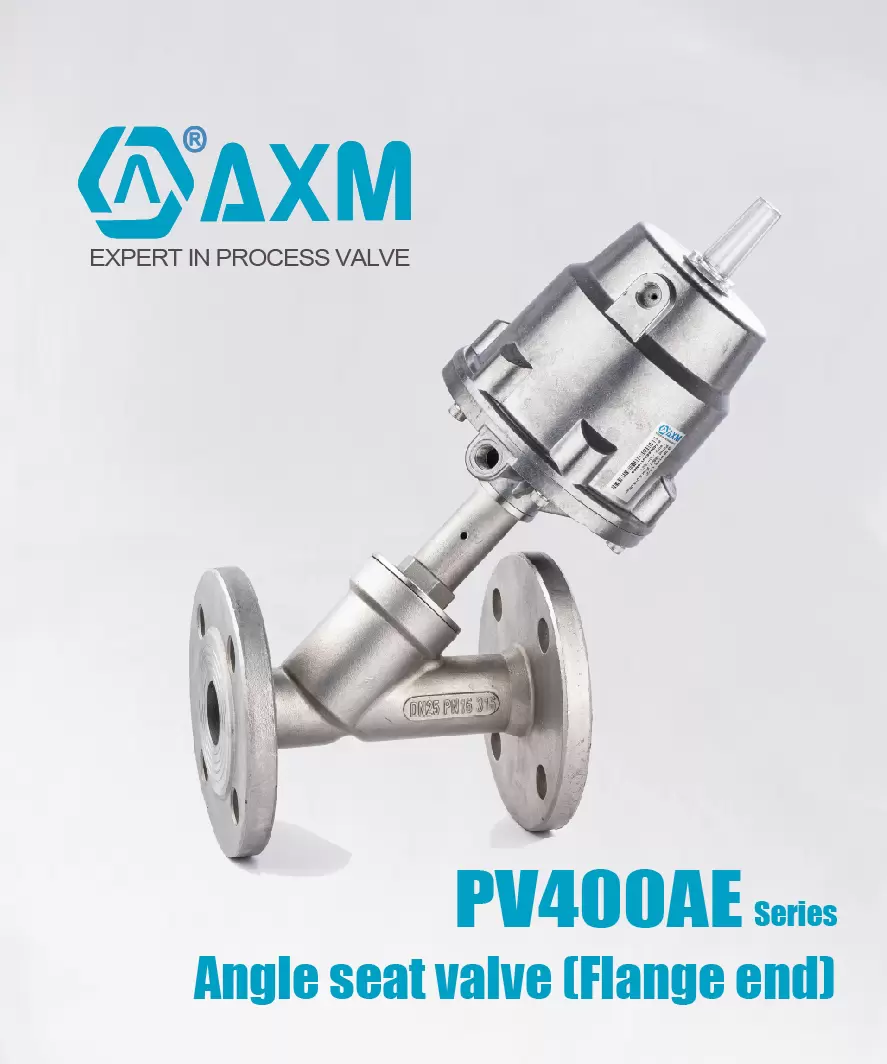 PV400AE【Flange ends】