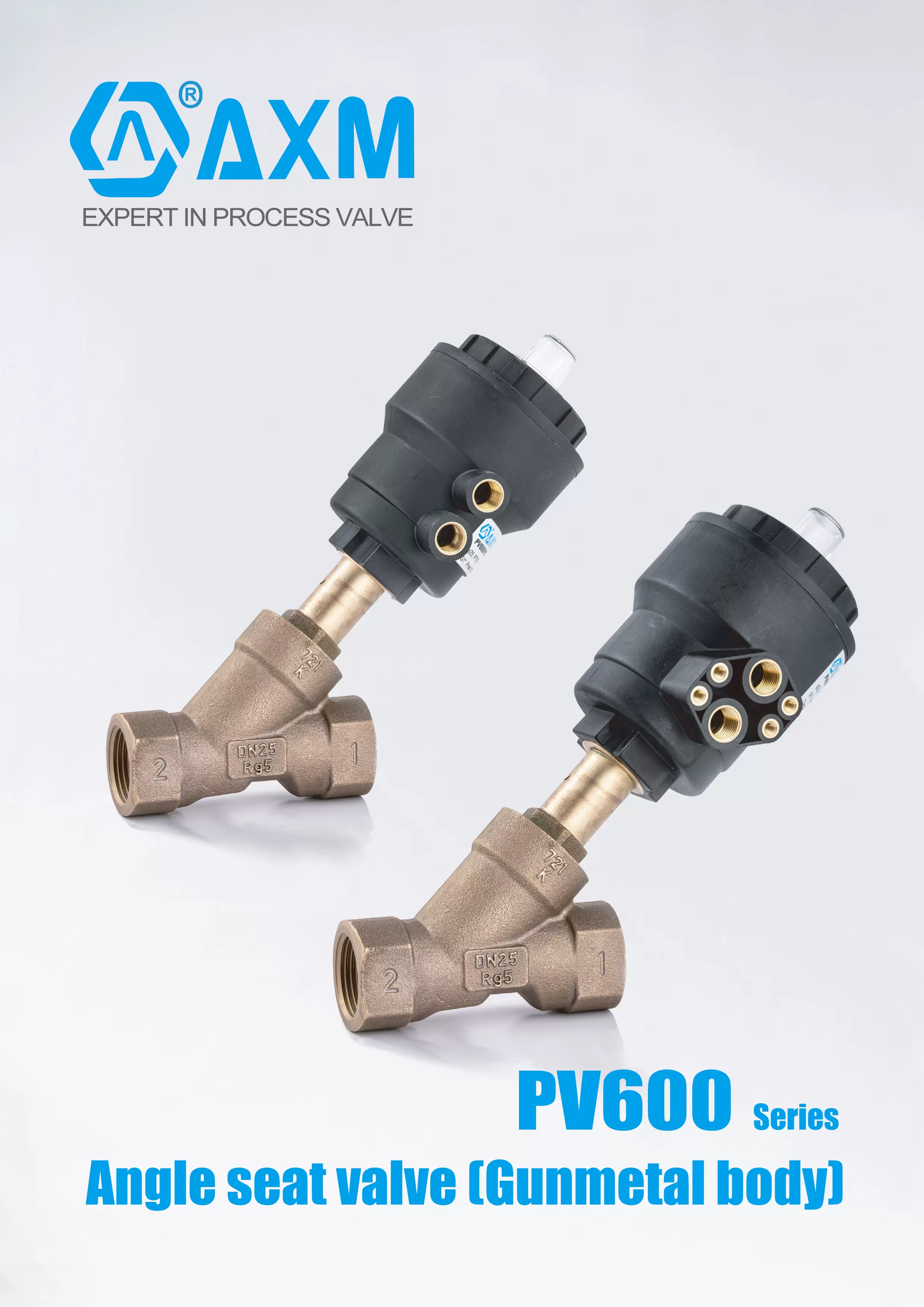 Series PV600P . Technical Cata.