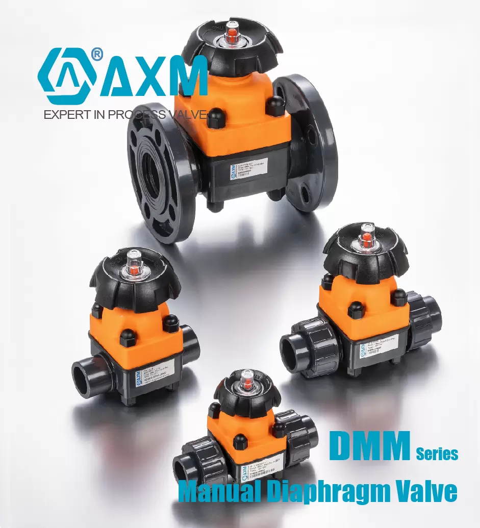 DMM202 Series Union ends Manual Diaphragm Valve