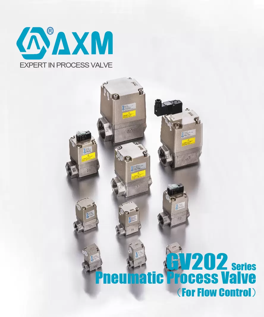 GV202 Series Pneumatic Process Valve/ Air Operated【For Flow Control】