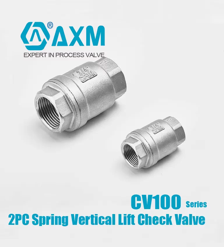 CV100 Series 2PC Spring Vertical Lift Check Valve