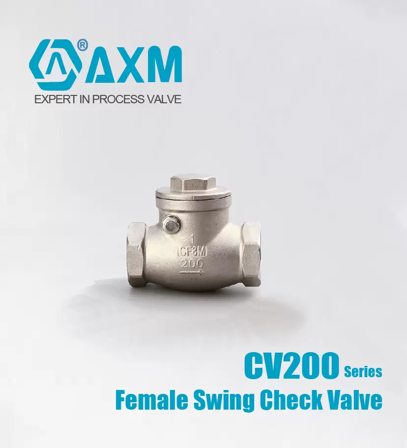 CV200 Series Female Swing Check Valve