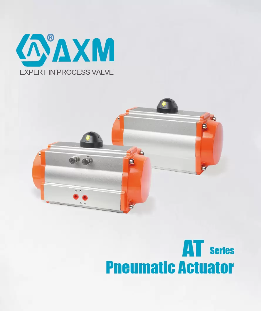 AT Series Pneumatic Actuator