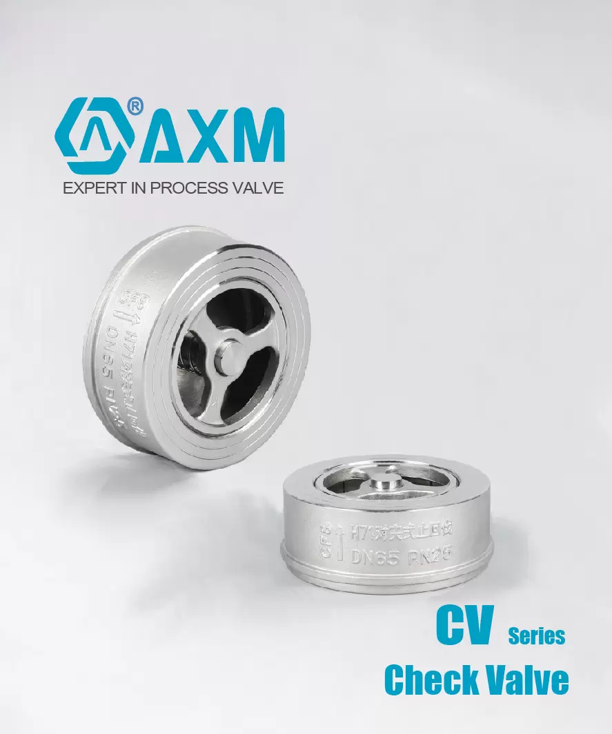 CV Series Check Valve